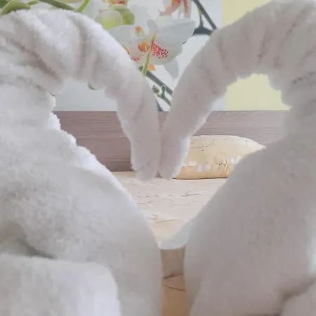 Gasthuis Morska Zvezda Chernomorets